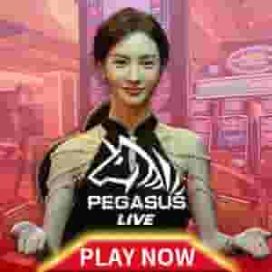 steadyGame_01_pegasus